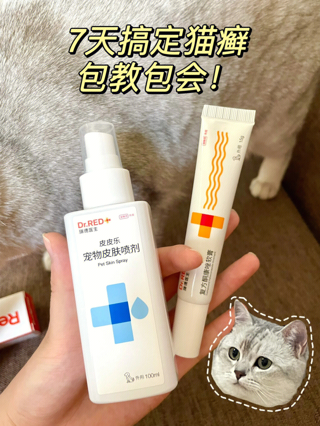 7天轻松搞定猫藓猫咪皮肤病全靠它