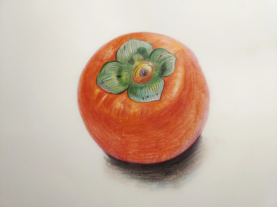 彩铅水果绘柿子