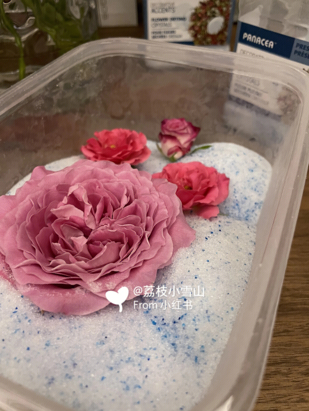 制作干花永生花