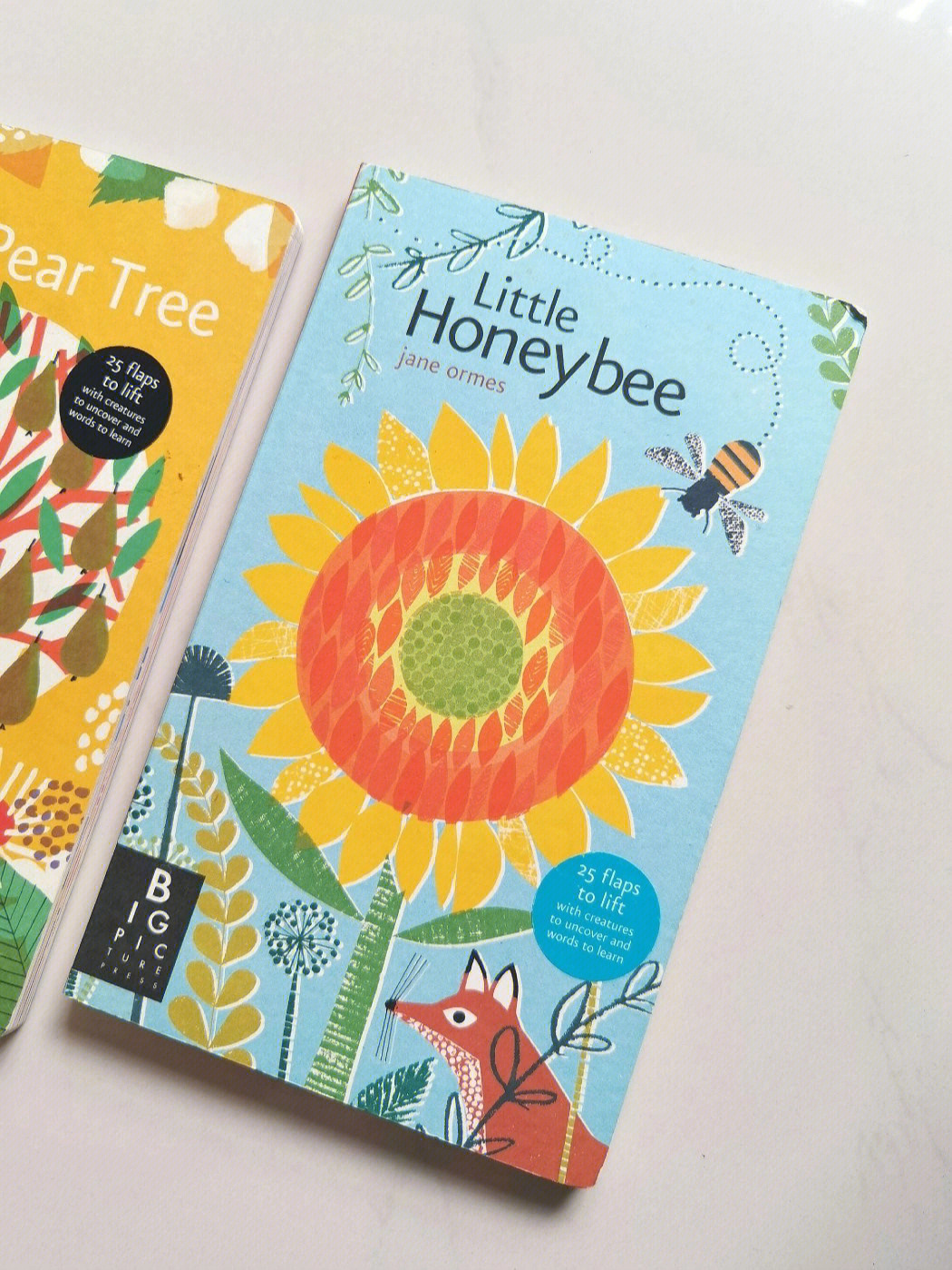 honeybee乙女游戏图片
