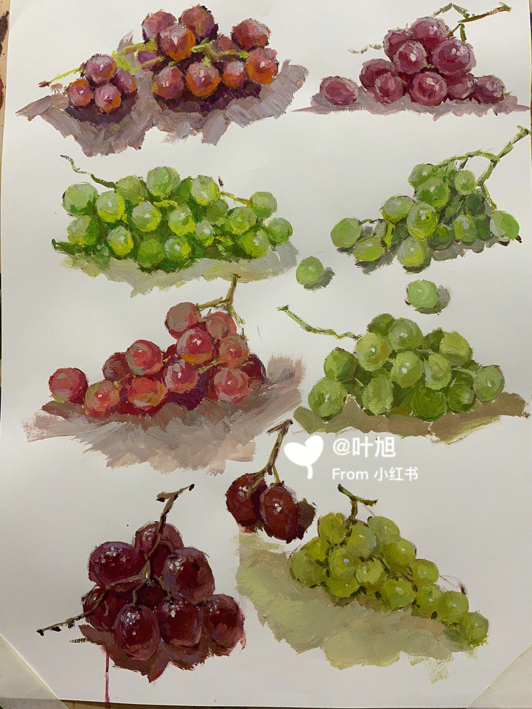 水粉葡萄画法步骤教程图片