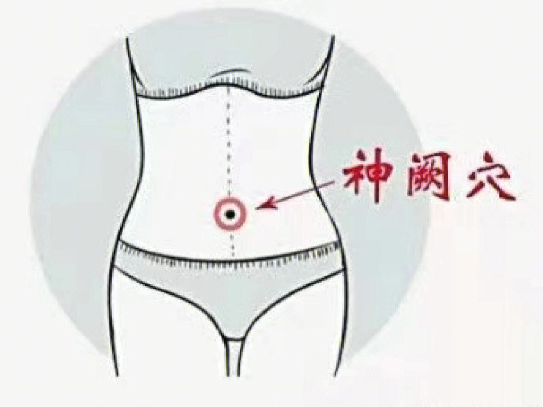 胃的位置 肚脐图片