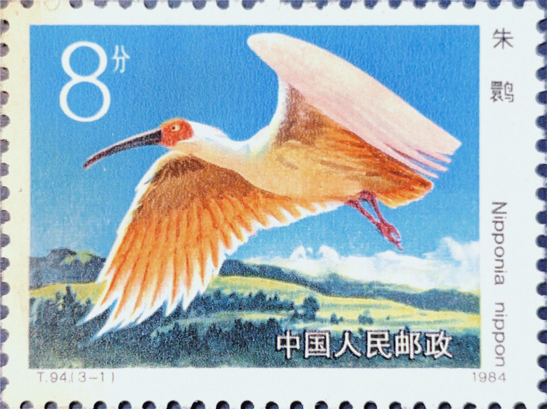 邮票名称:朱鹮发行地区及年代:中国,1984年邮票张数及面额:共三张