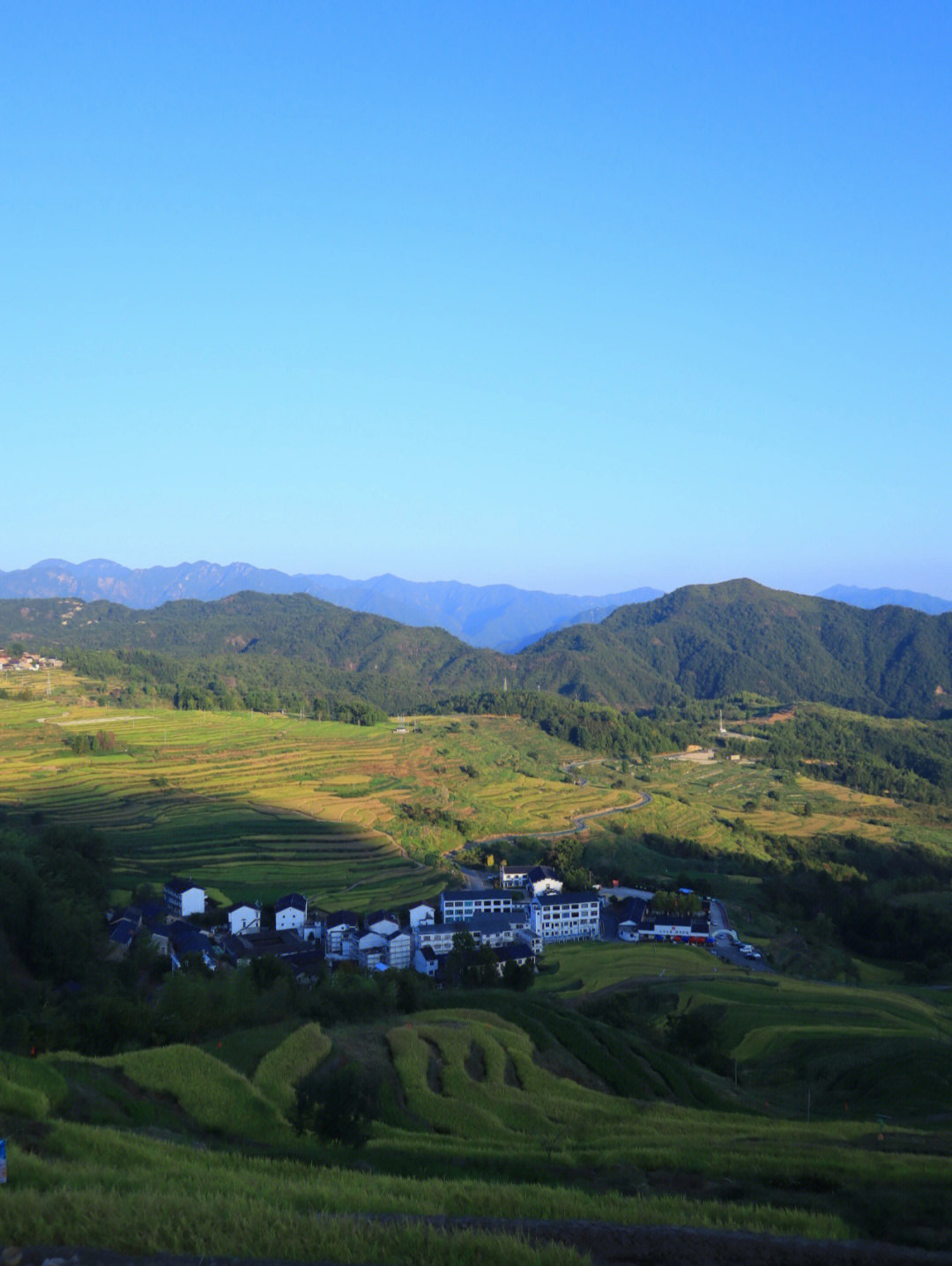 台州仙居杨丰山72