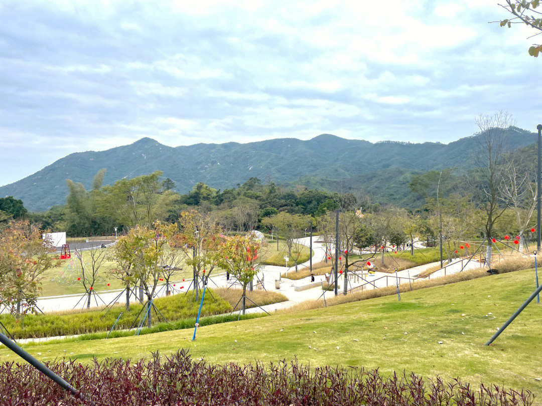 宝鸡星河半岛图片