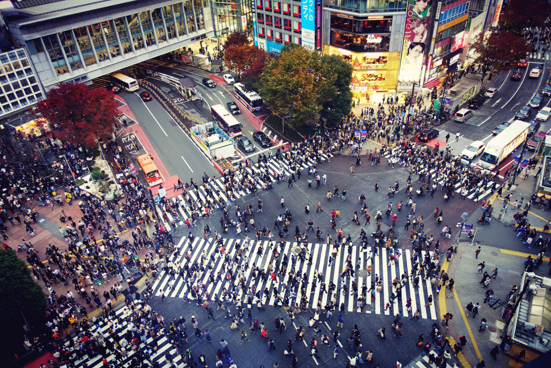 涩谷站八公口图片