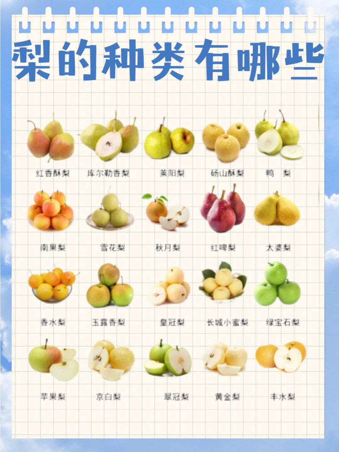 梨树品种介绍大全集图片
