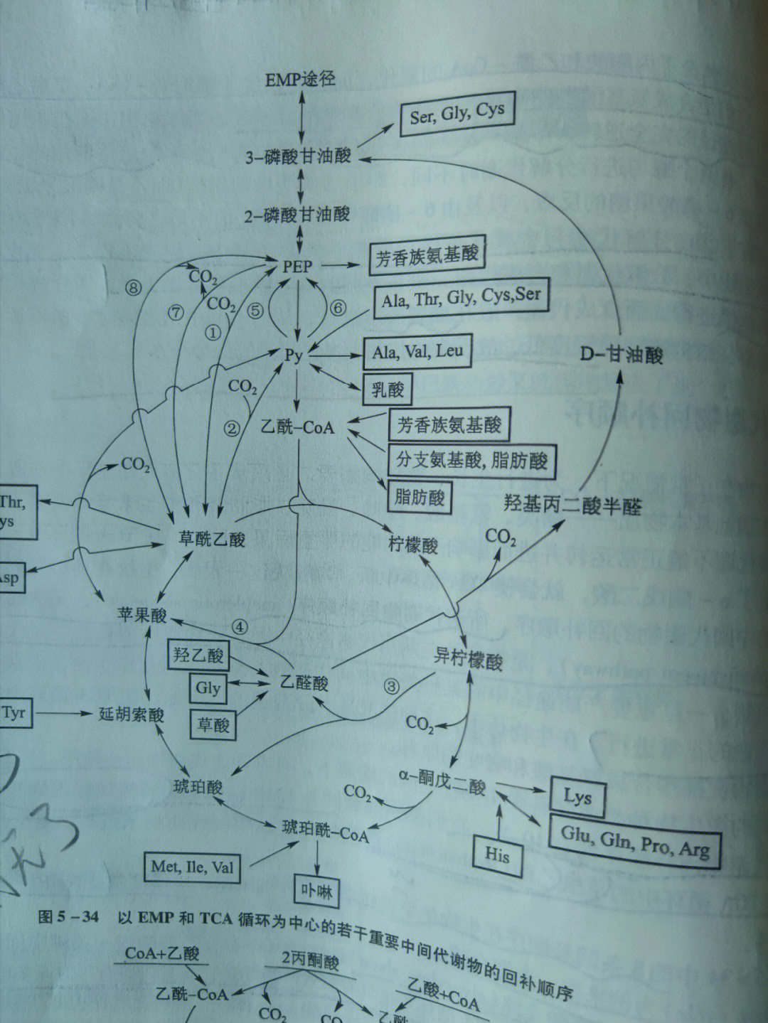 emp途径 方程式图片