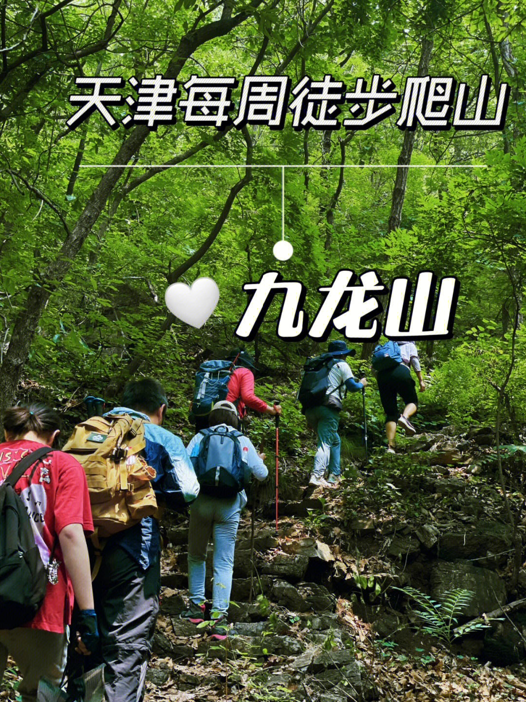 天津九龙山风景区攻略图片