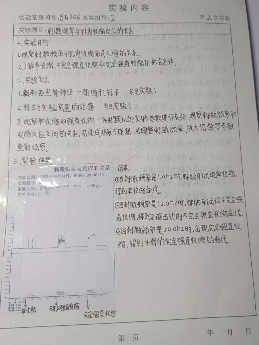 骨骼肌实验报告手绘图图片