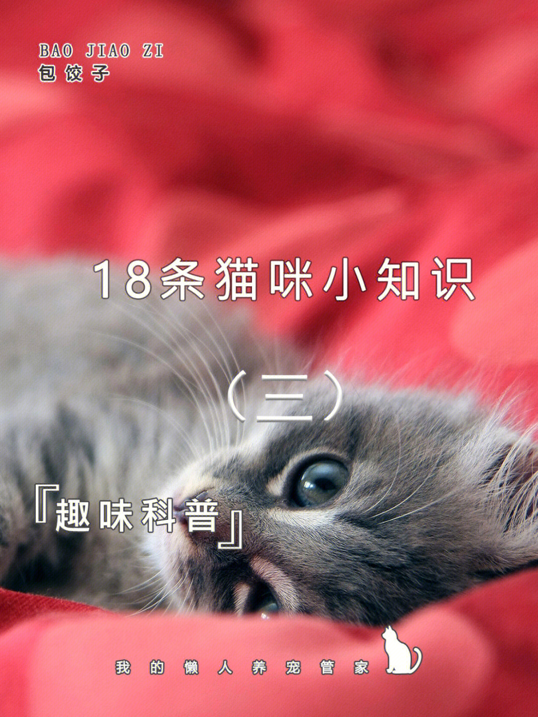 猫咪百科18条猫咪小知识三