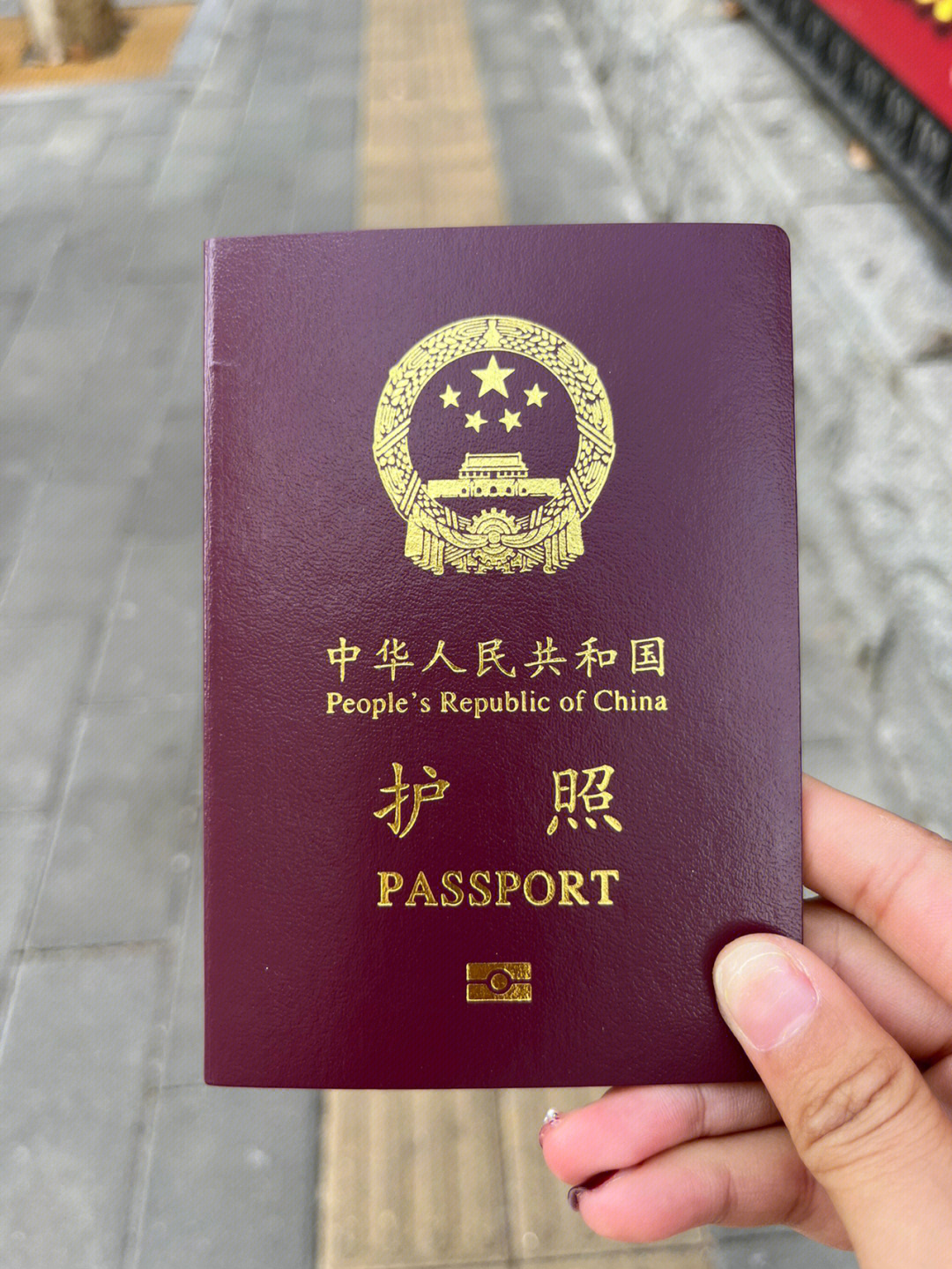 护照生成图图片