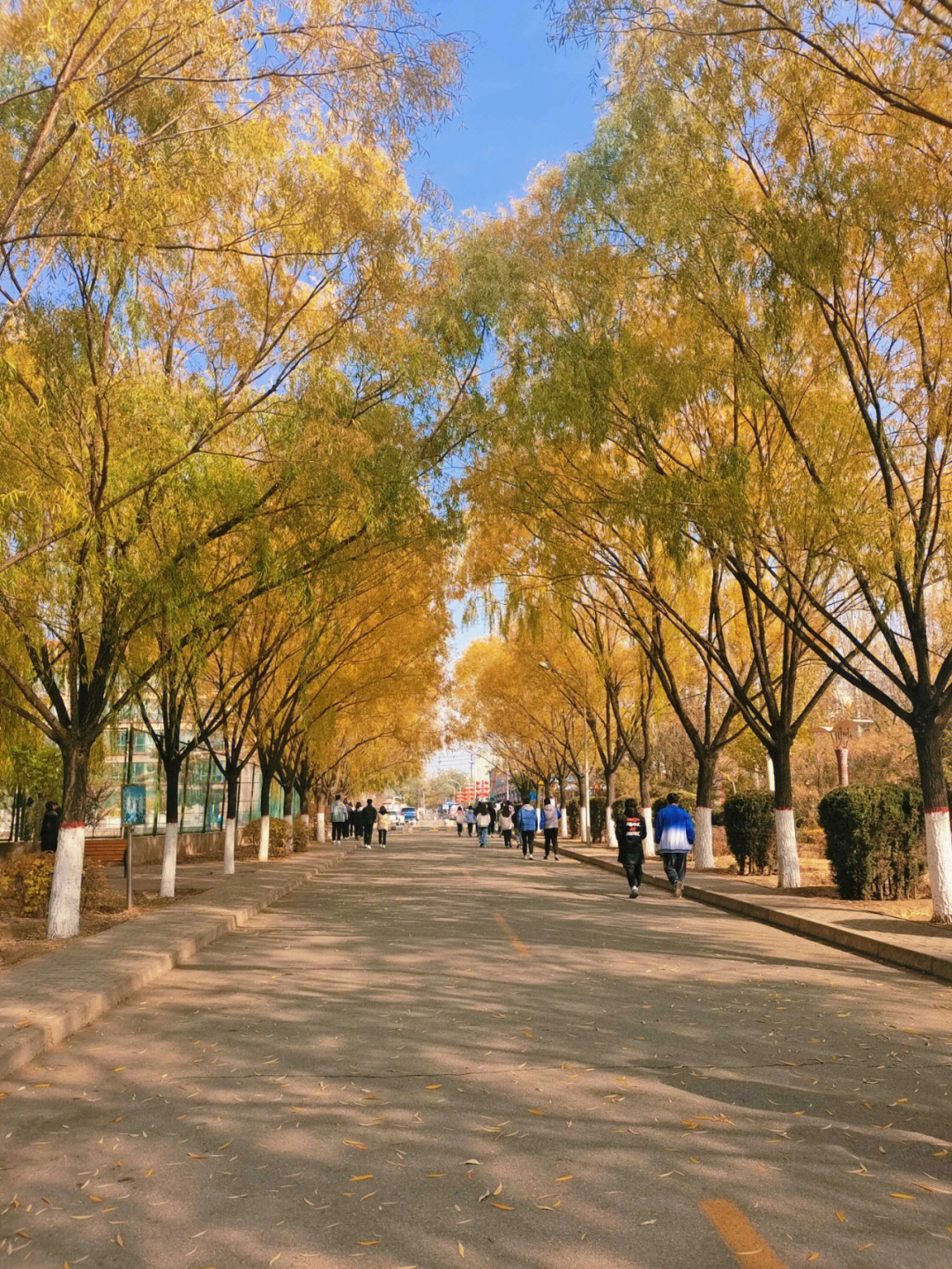 内蒙古包头大学多会儿开学