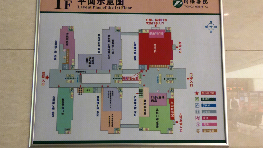 武汉同济医院平面图图片