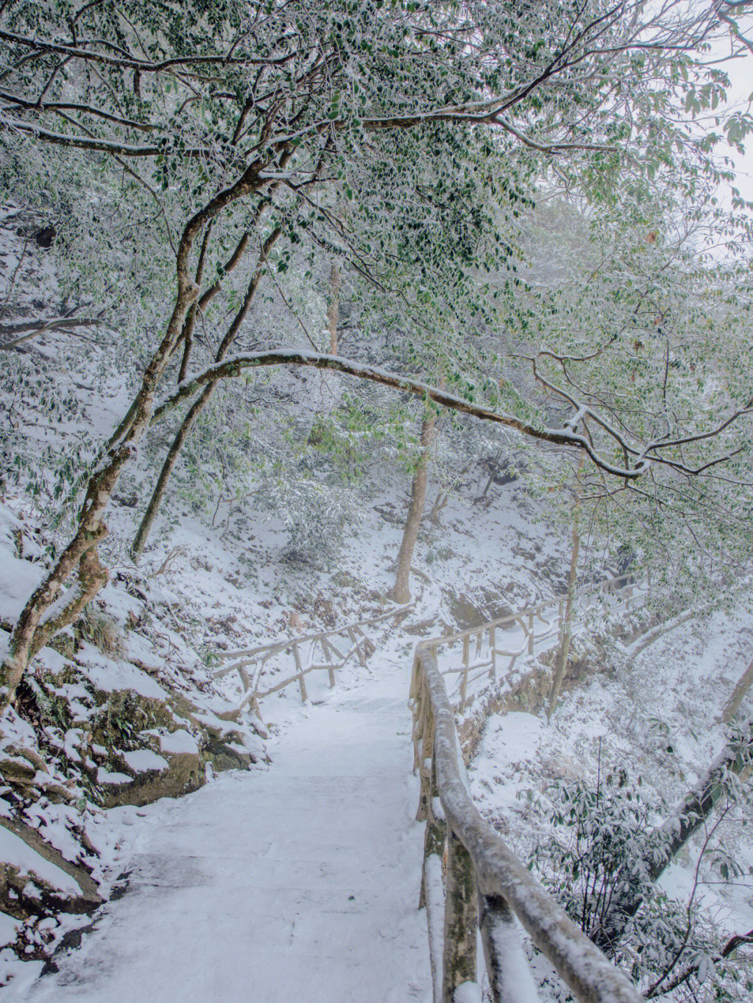 分享2021年武功山最后一场雪啦7660