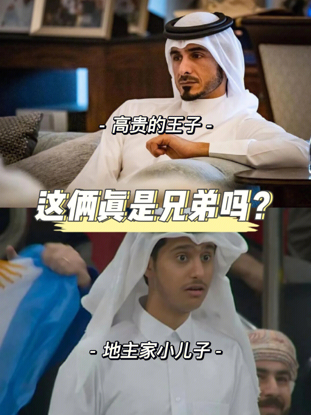 卡塔尔王子兄弟俩