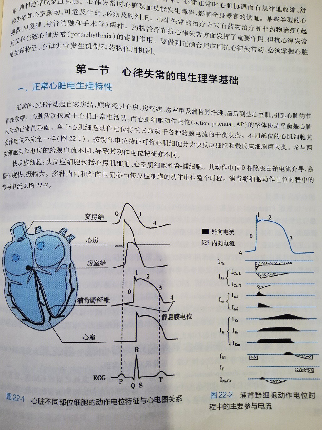 NA药理图片