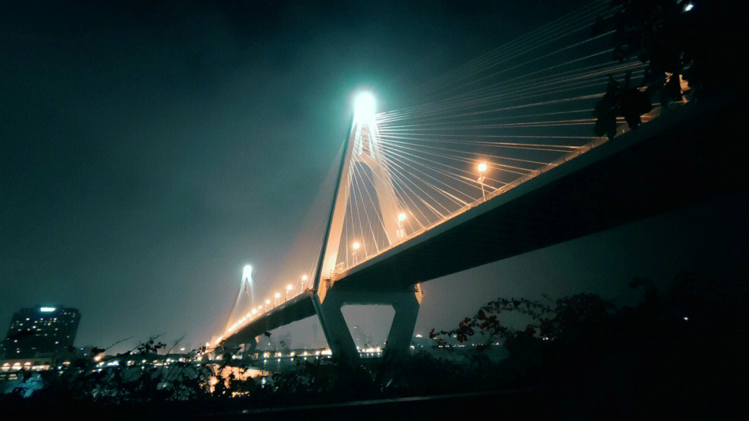 海口世纪大桥设计者图片
