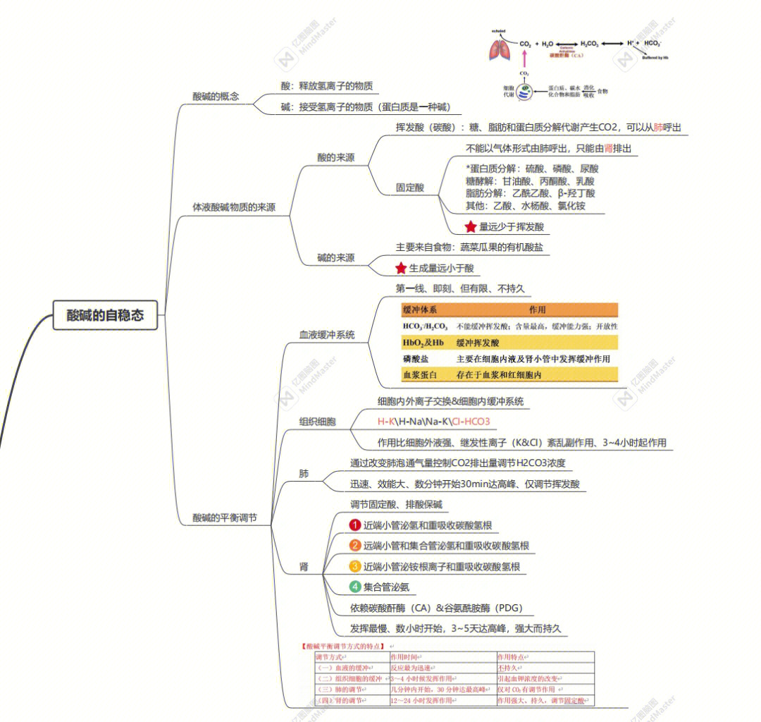 病生酸碱思维导图图片