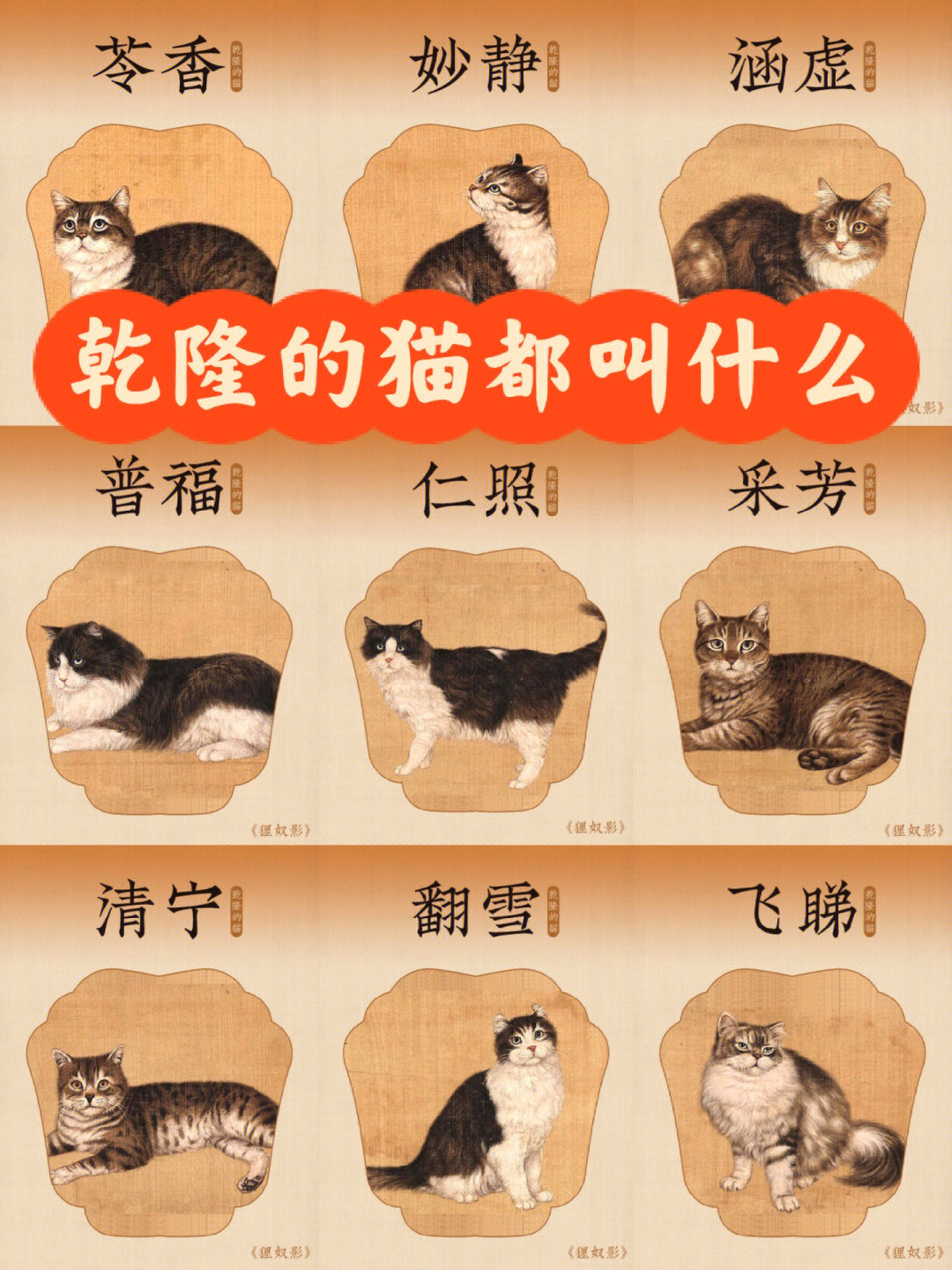 乾隆太会给猫起名字了吧!