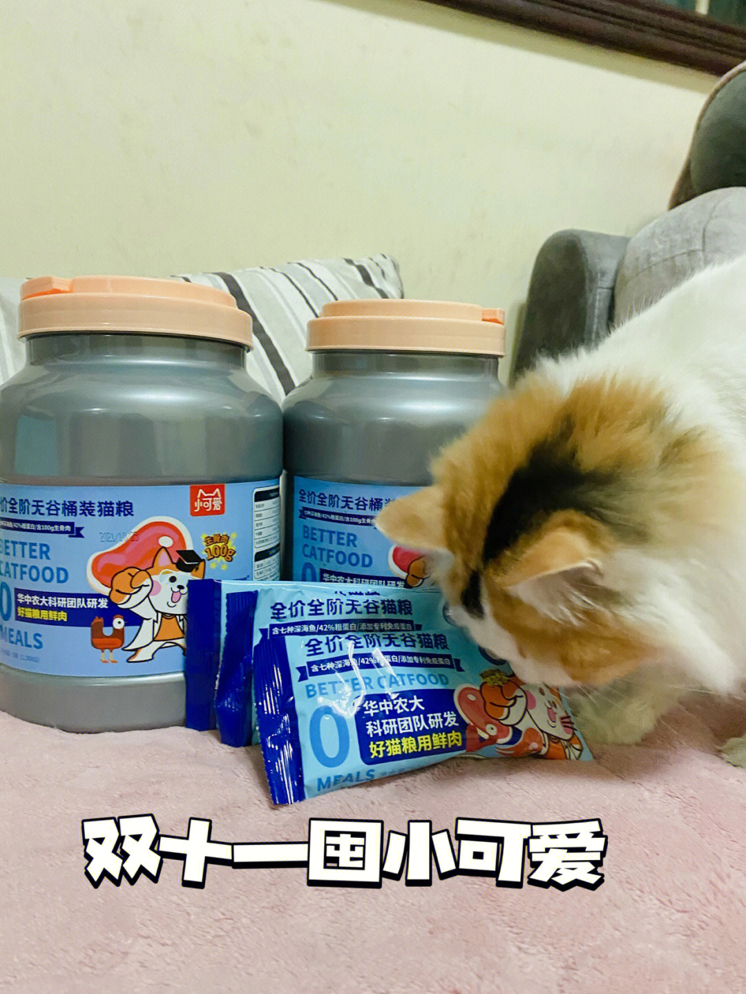 双十一bi囤好粮小可爱猫粮