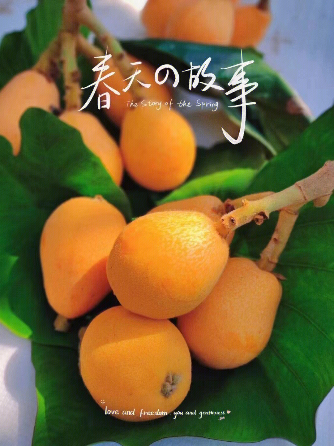 莆田常太枇杷