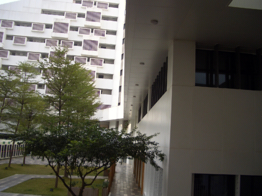 深圳市艺术高中