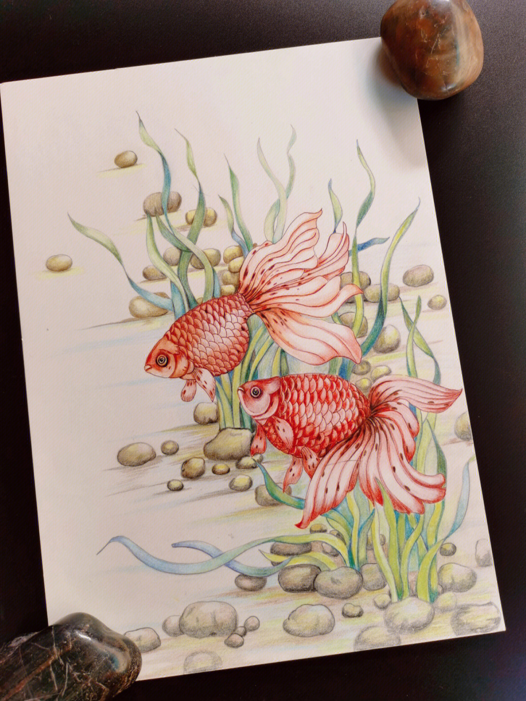 怎么画小金鱼彩铅图片