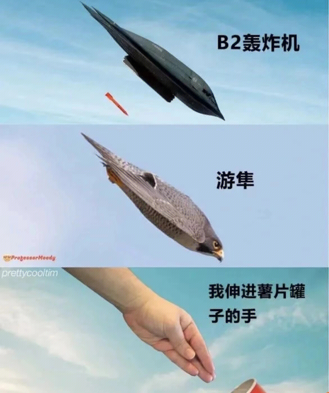 b2轰炸机仿生学游隼图片