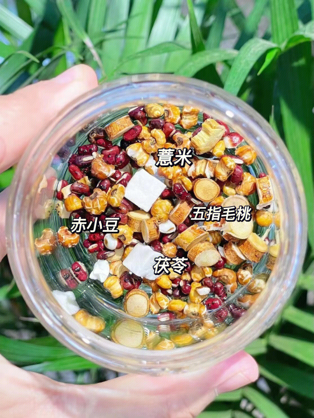 孕妇禁忌的祛湿茶