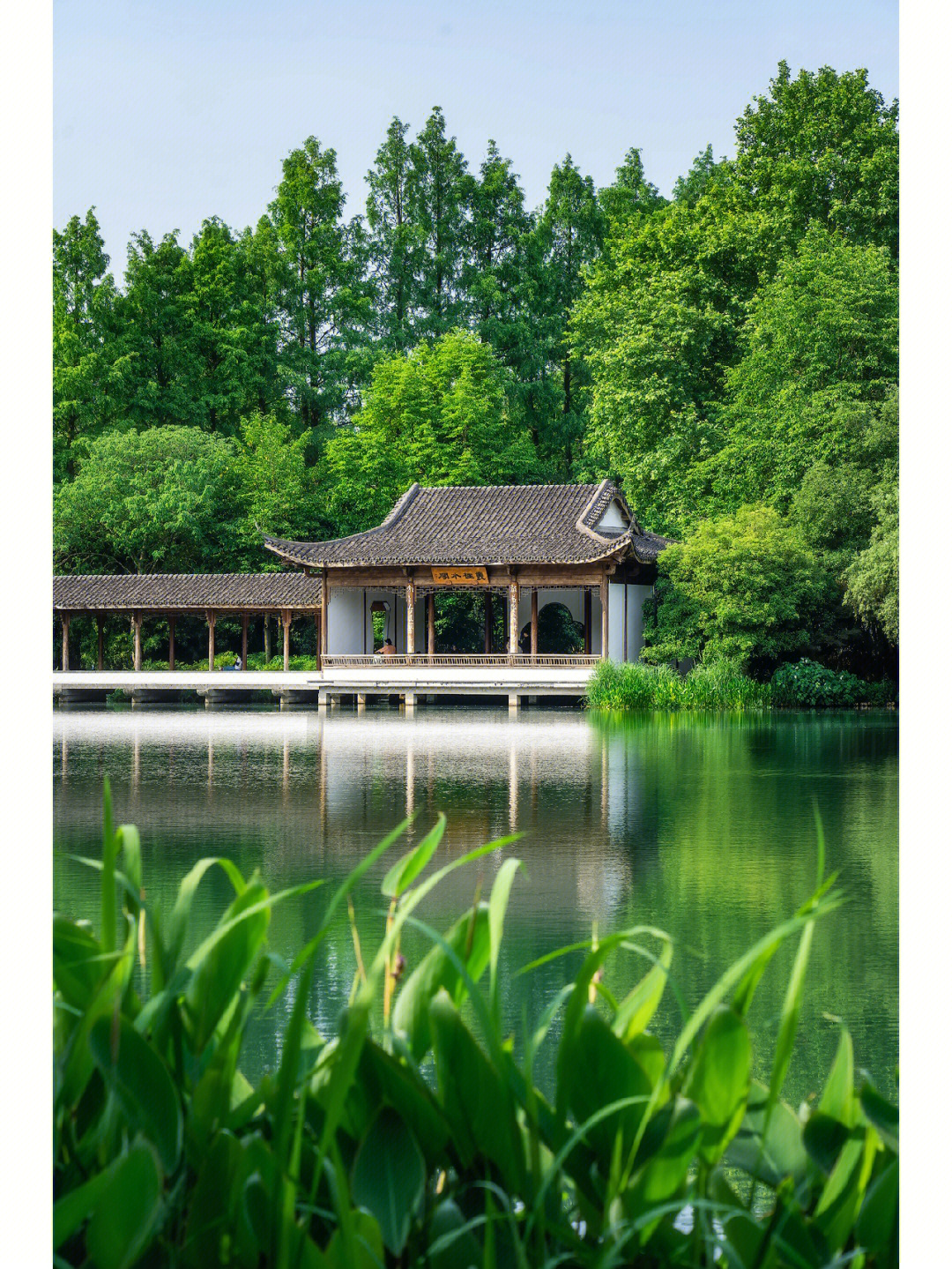 西湖浴鹄湾真是杭州夏日宝藏避暑地