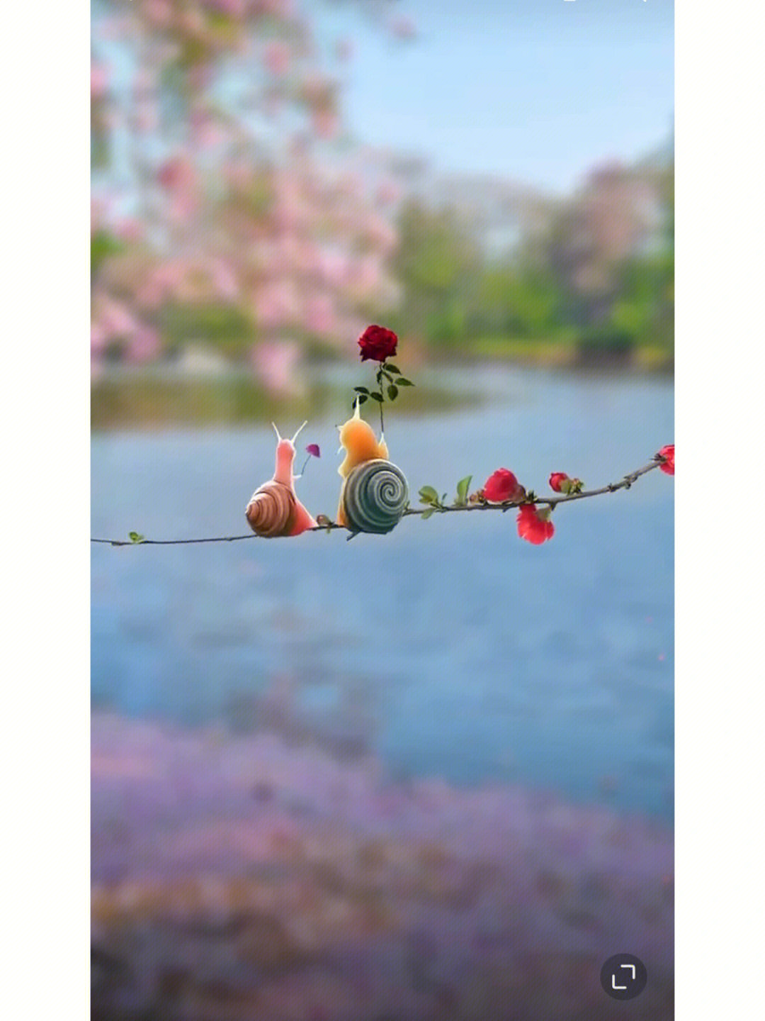一家四口蜗牛撑伞图片图片