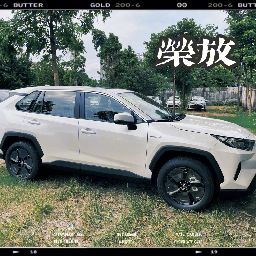 提车记rav4荣放2021双擎四驱