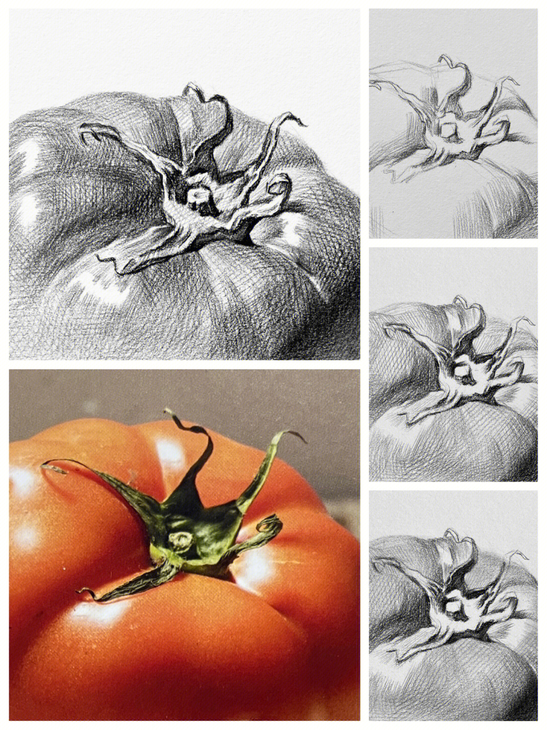 番茄素描的画法步骤图片