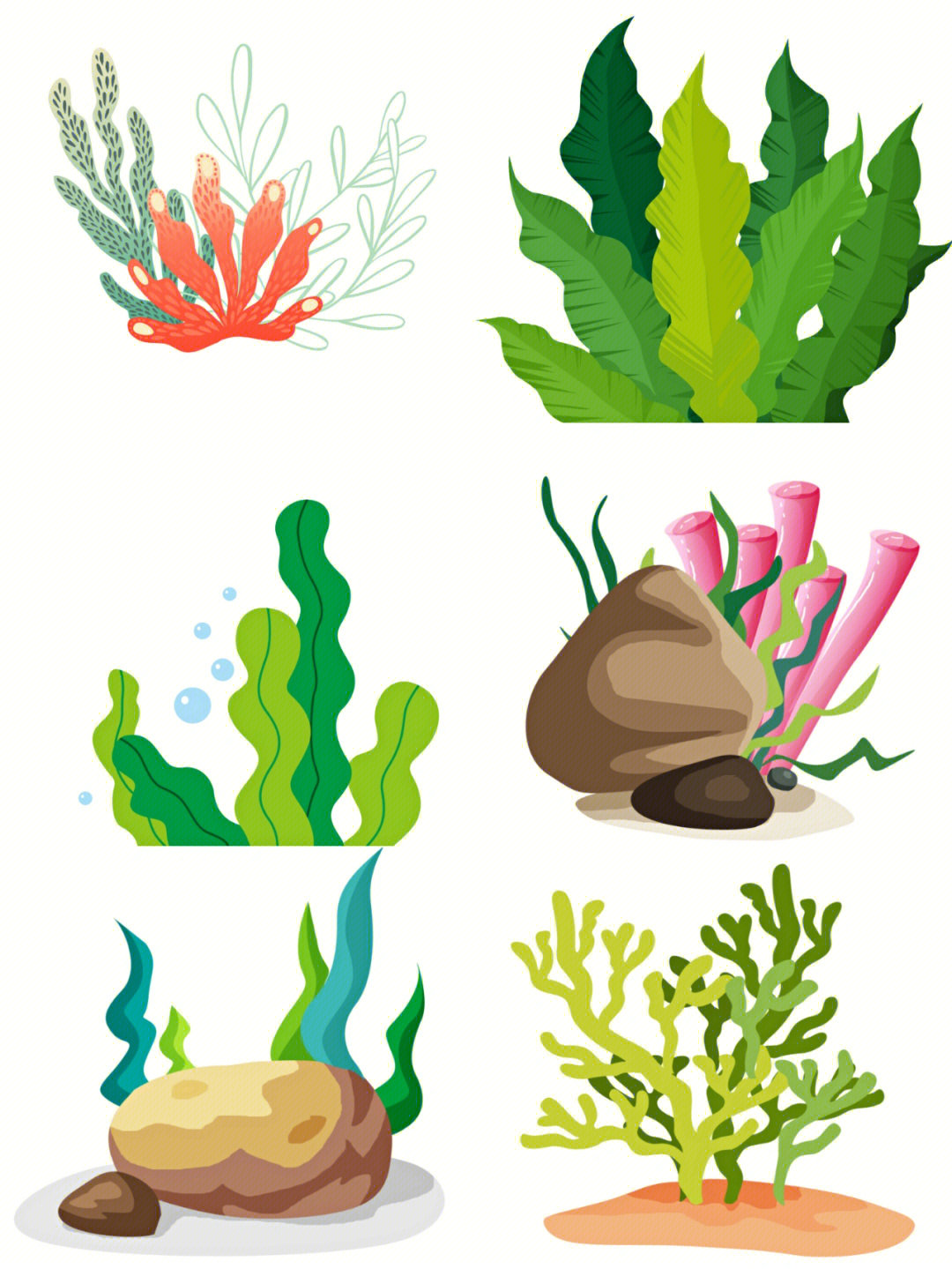 海洋植物简笔画 彩色图片