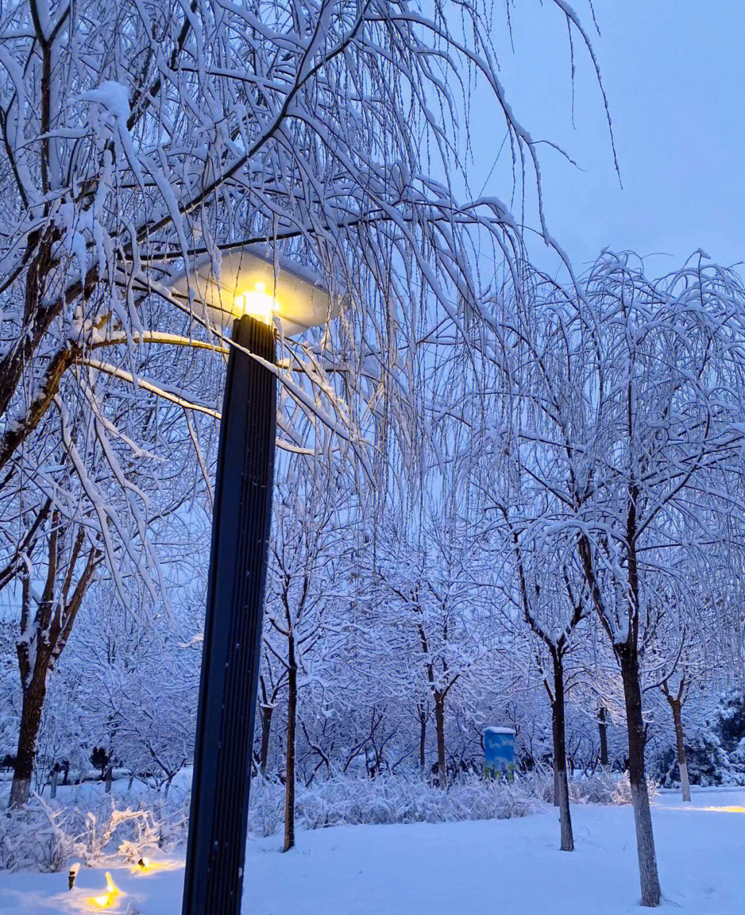 北京春三月的雪76