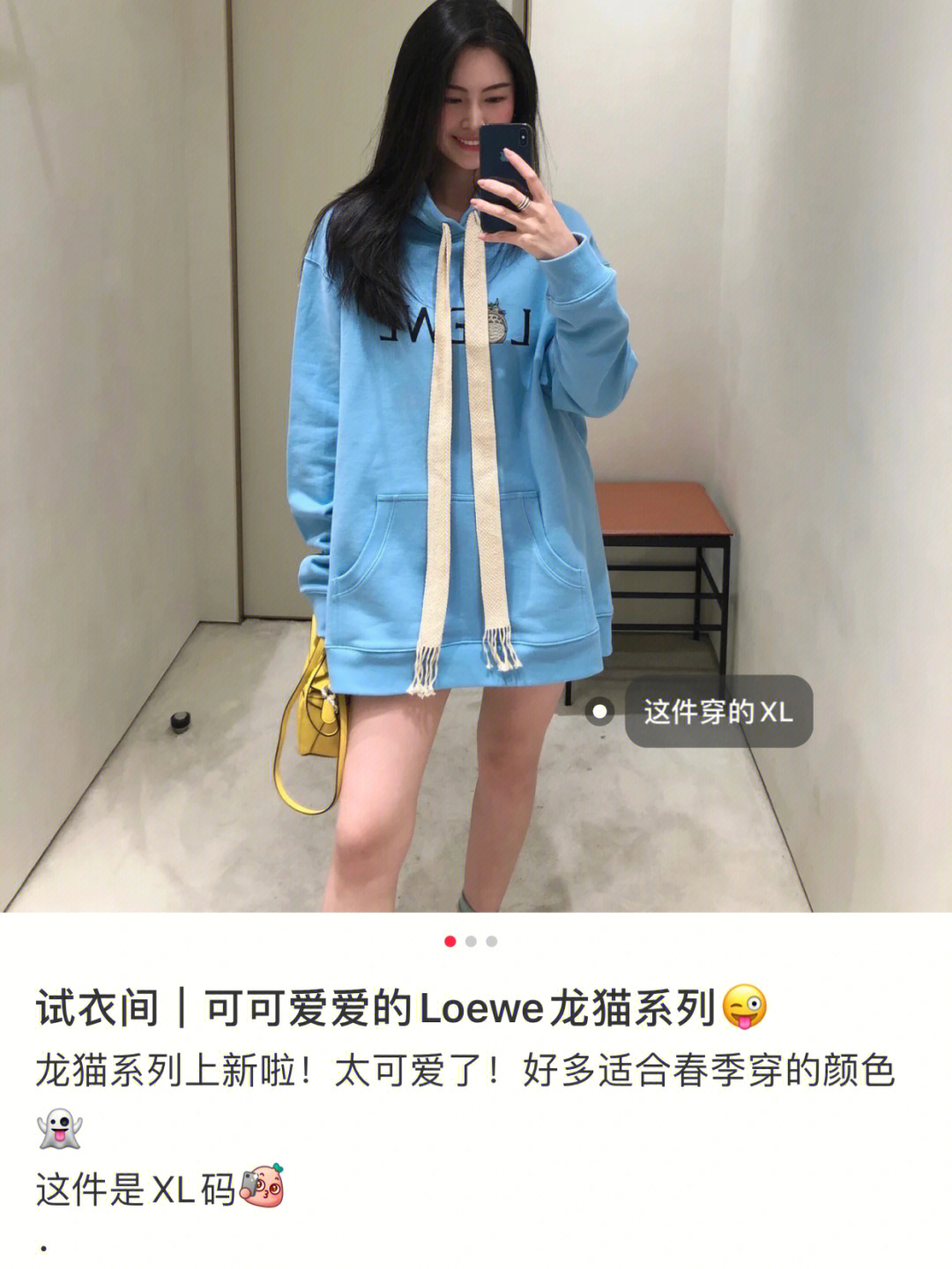 loewe龙猫卫衣图片