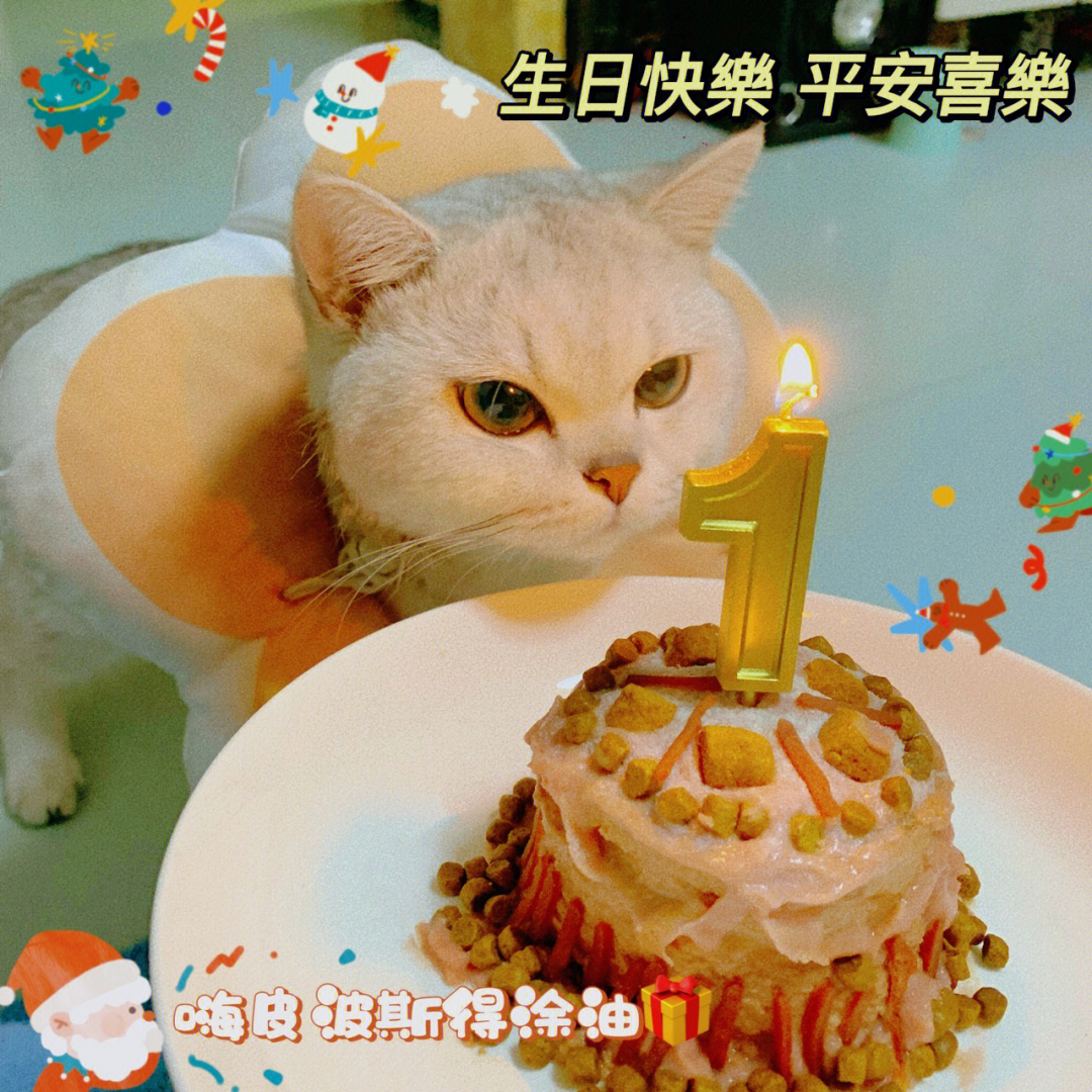 圣诞生日快乐