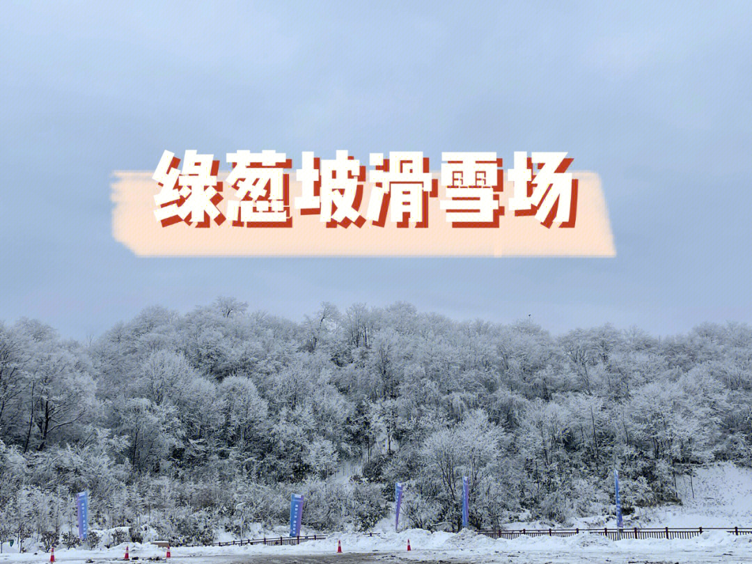 恩施滑雪场排名图片