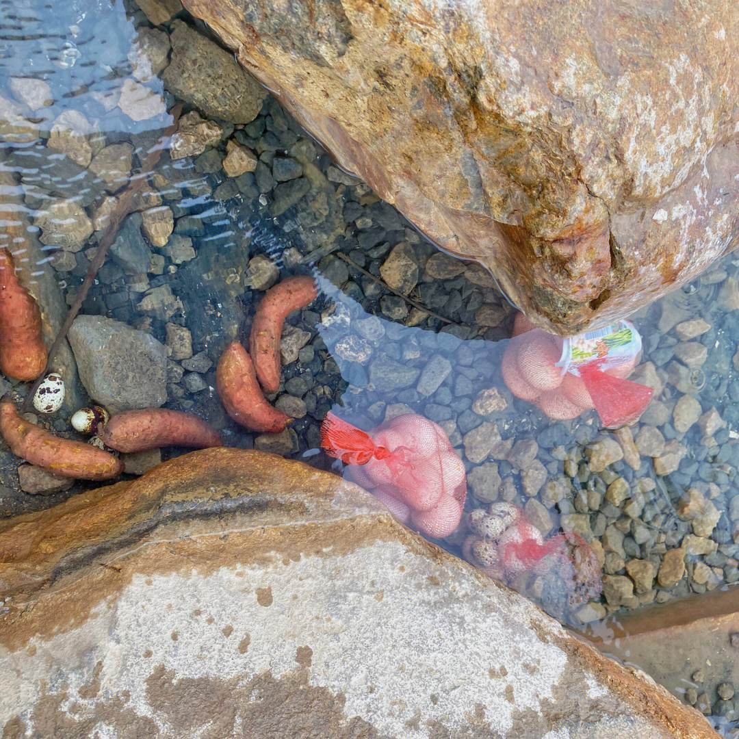 三江口湿地温泉公园图片