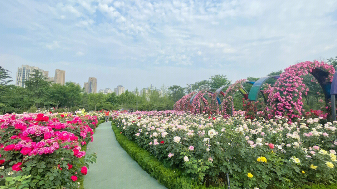 宁波丹凤公园图片