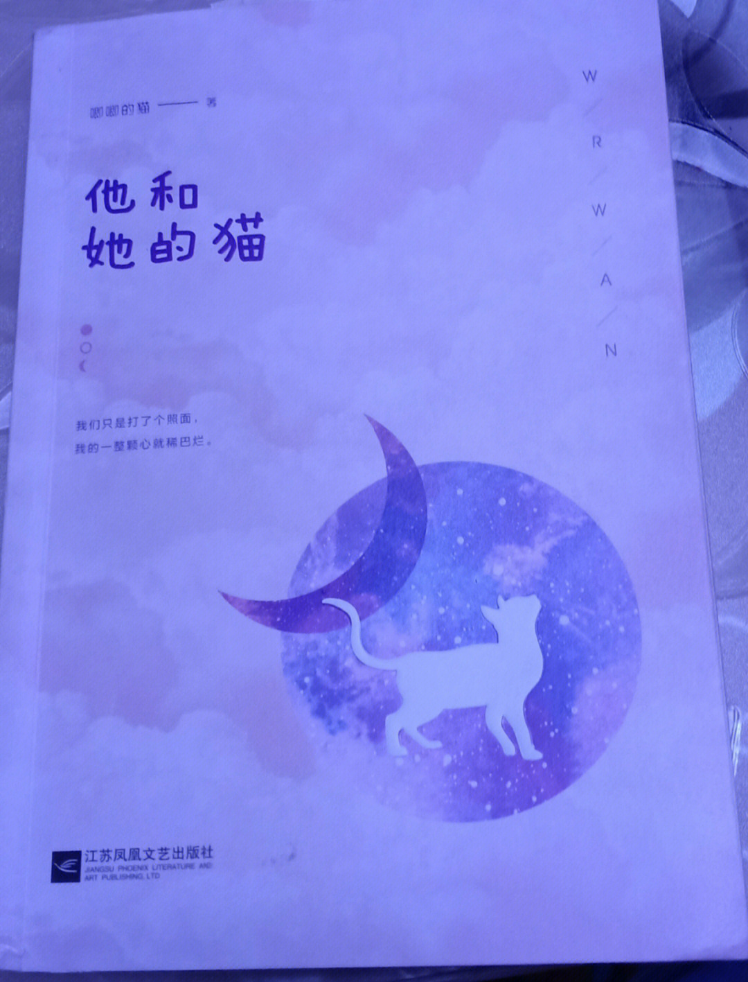 他和她的猫简介图片