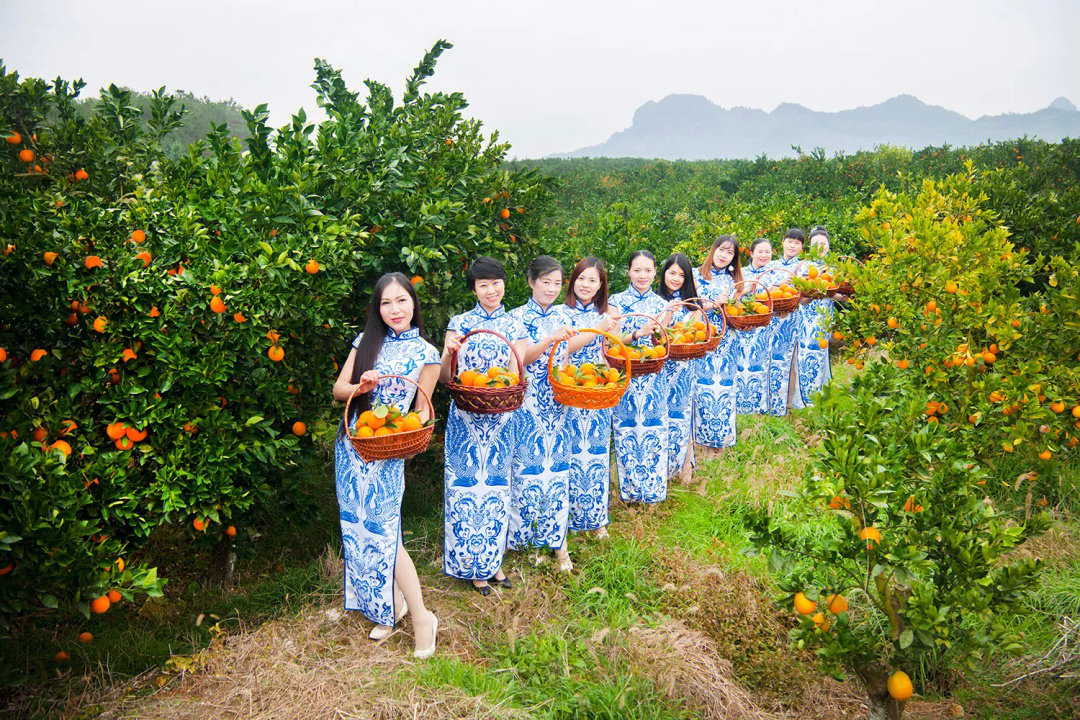 一年一度脐橙节