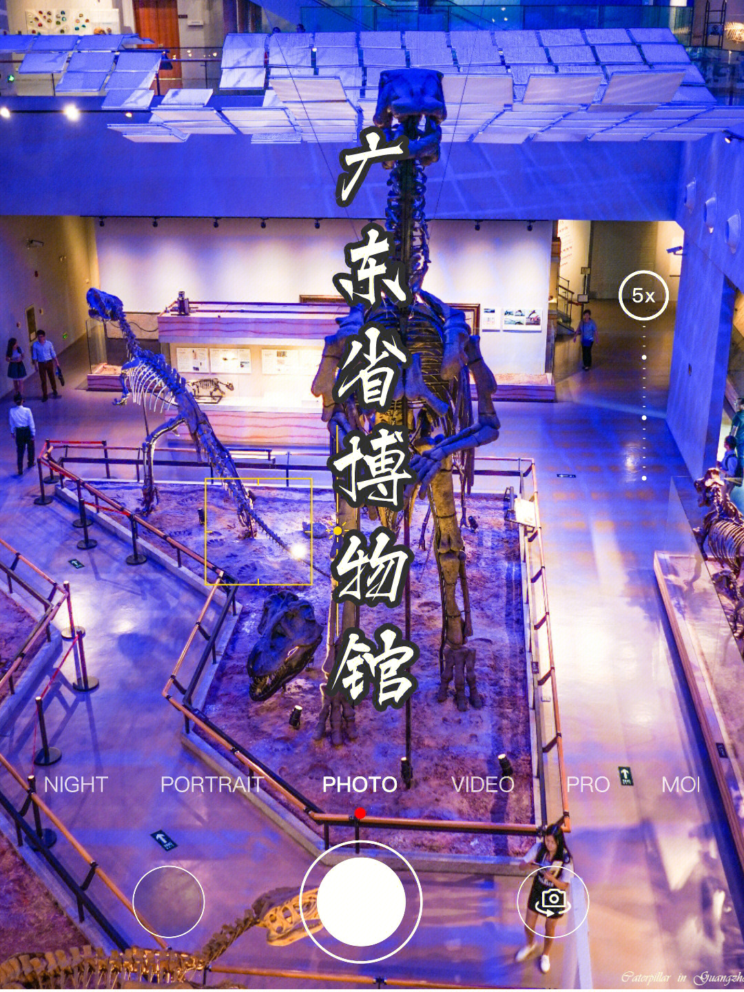 广东省博物馆参观攻略图片