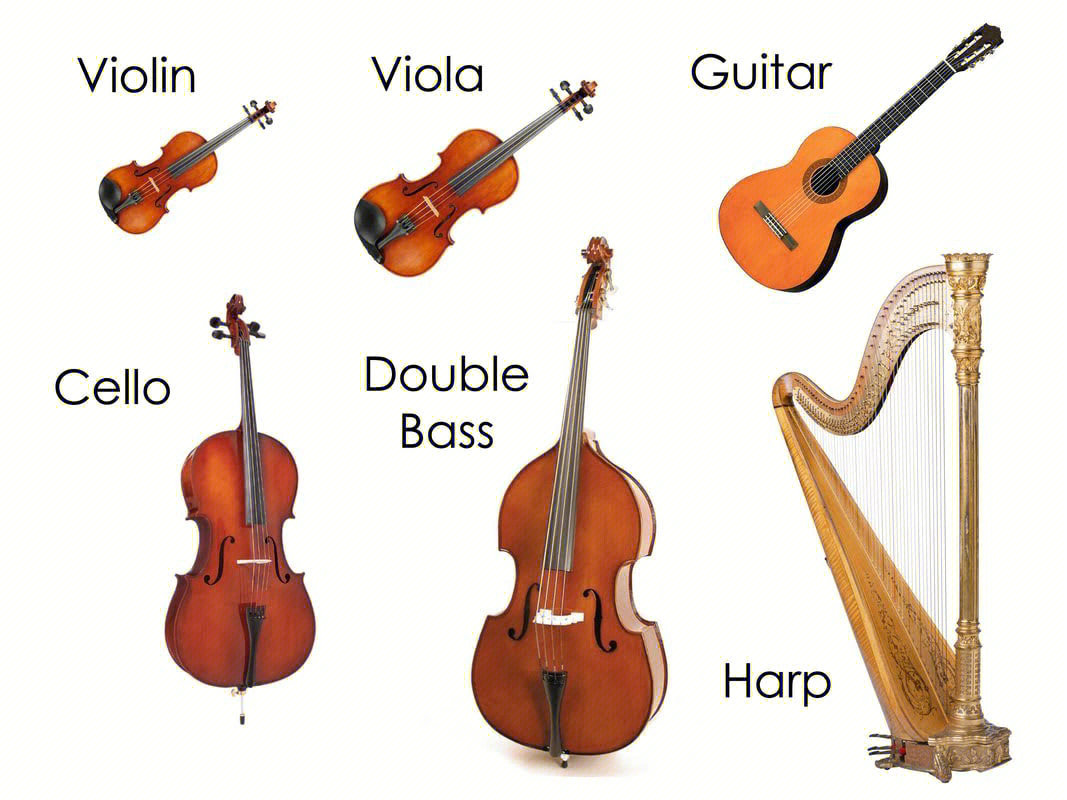 instrumentfamilies交响乐团中的乐器名称