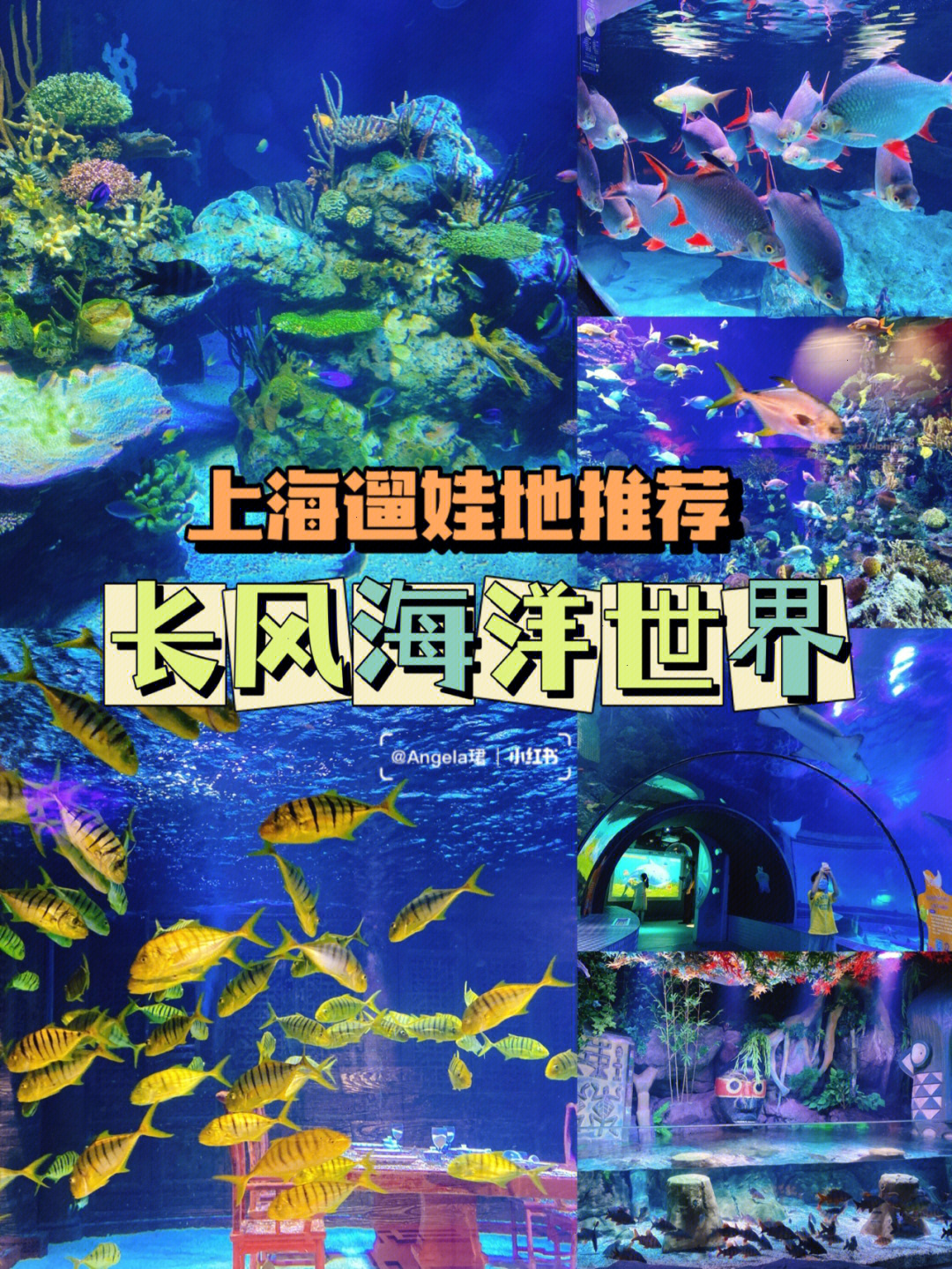 上海海洋馆_同济大学海洋探索馆地址_儿童互动海洋绘画馆