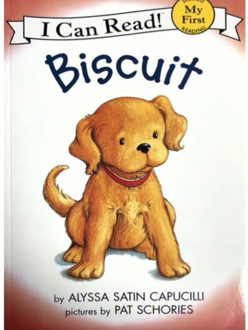 biscuitbear图片