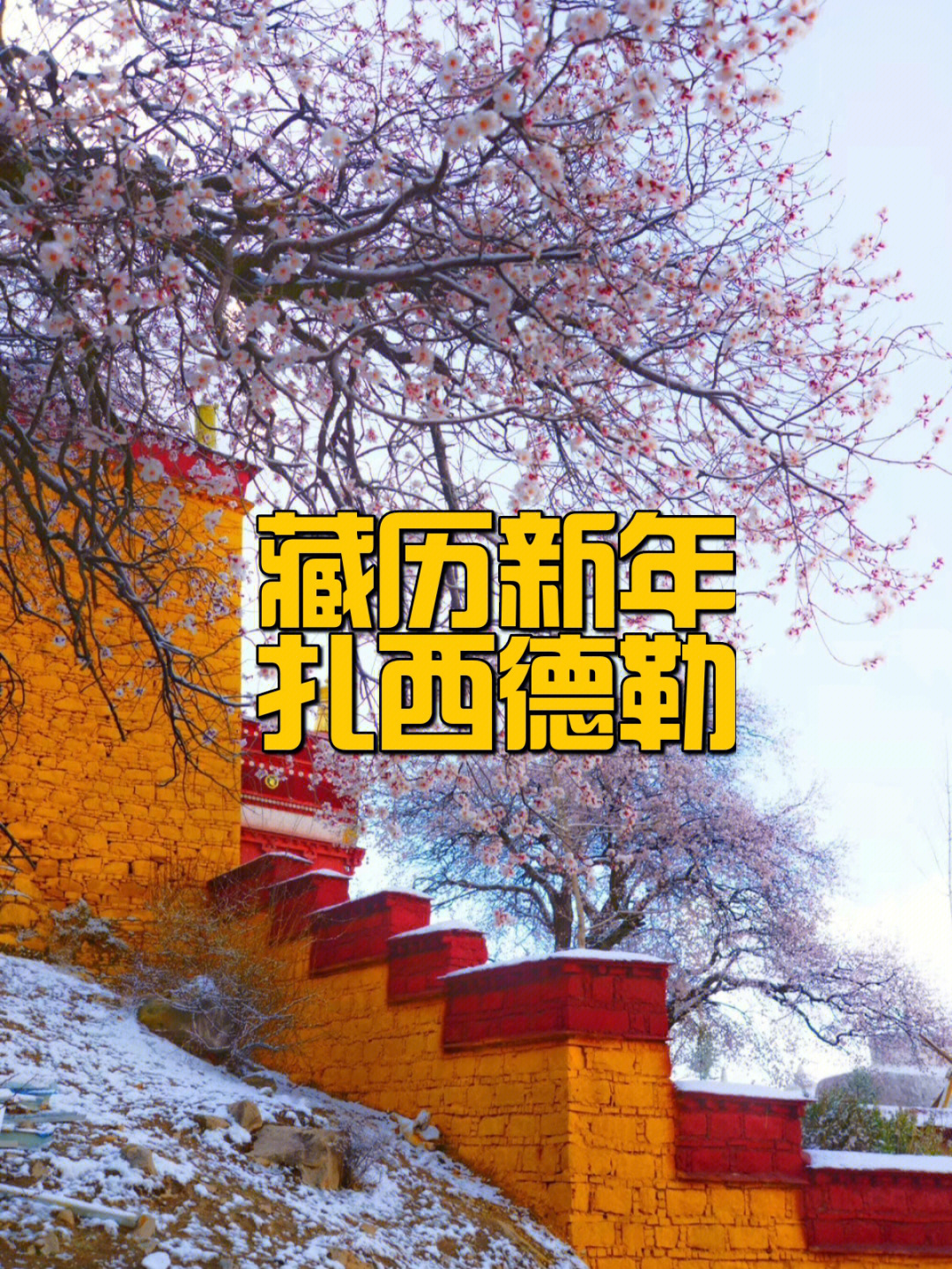 藏历新年ppt模板图片