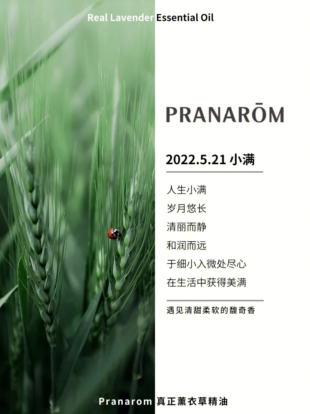 盈而未满的小确幸pranarom蓄势待发