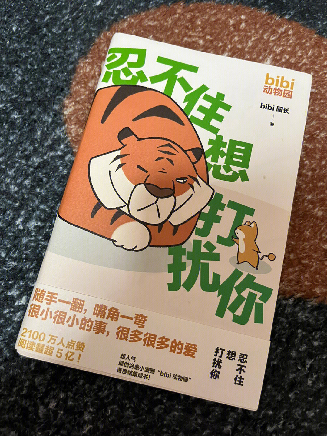 治愈小漫画忍不住想打扰你